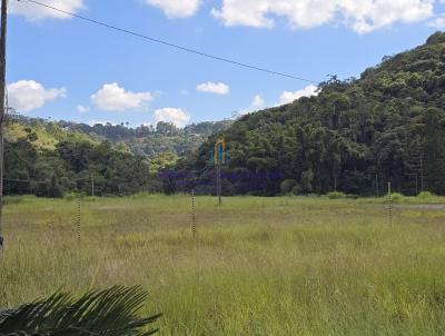 Terreno Comercial para Venda, em Juiz de Fora, bairro Salvaterra